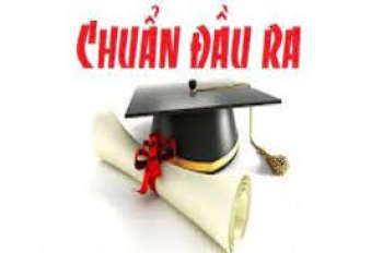 Miễn chuẩn đầu ra tiếng Anh – Hành trình tự học và nỗ lực